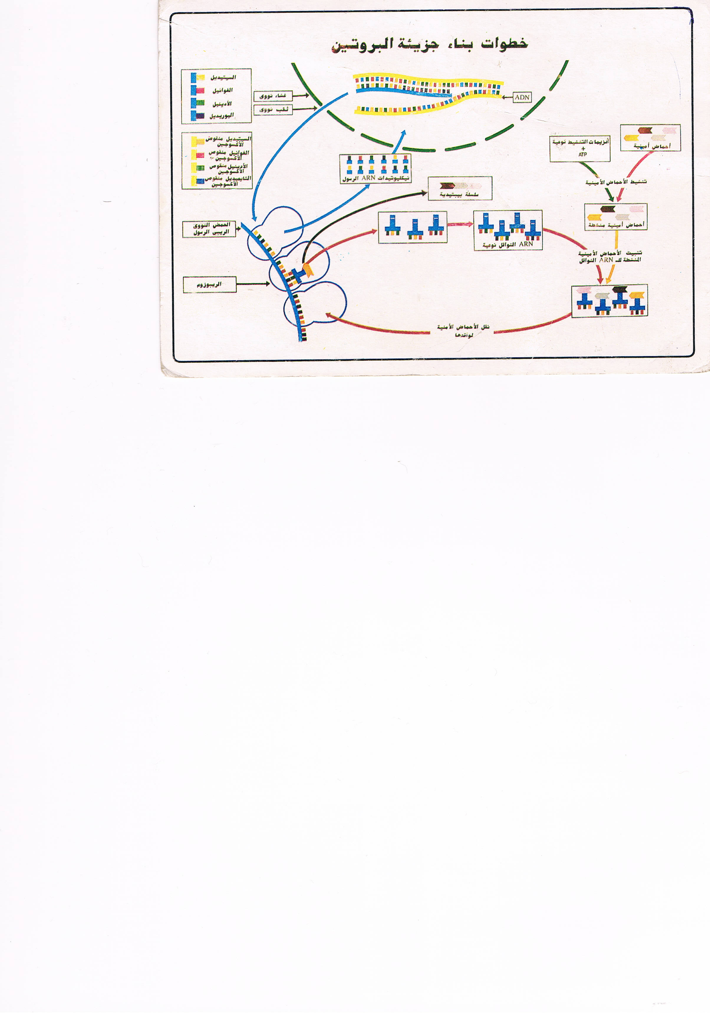 CCF05012016_00000.jpg