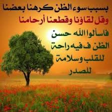 images (21).jpg